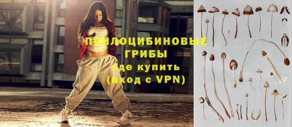 каннабис Белокуриха