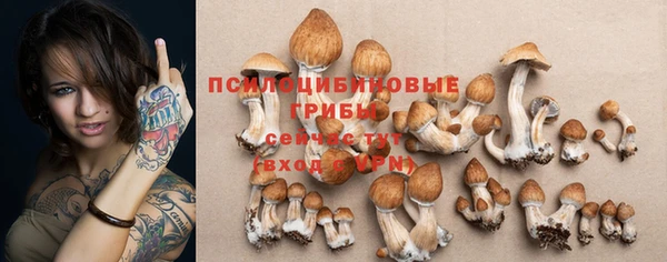каннабис Белокуриха